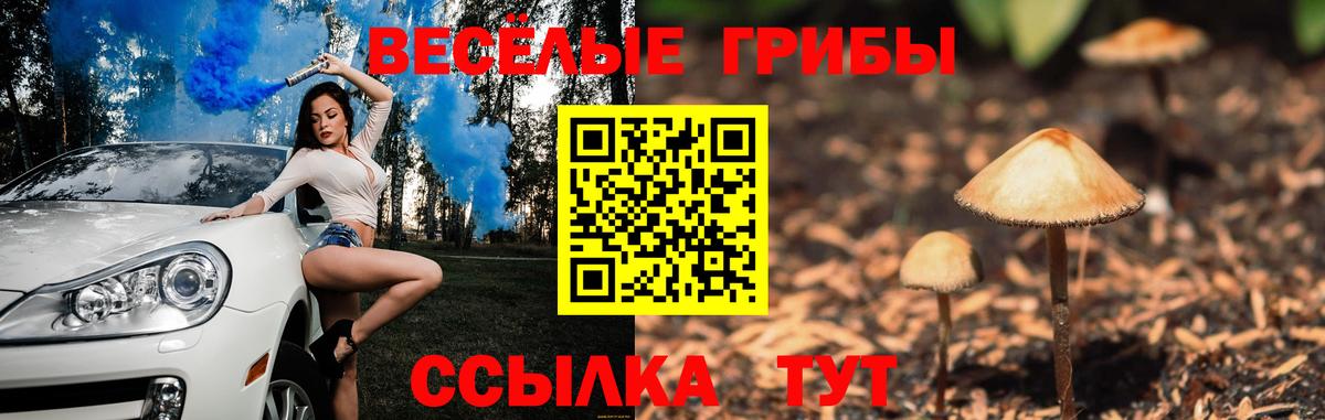 Псилоцибиновые грибы Cubensis  Вход с VPN  Тельмана 